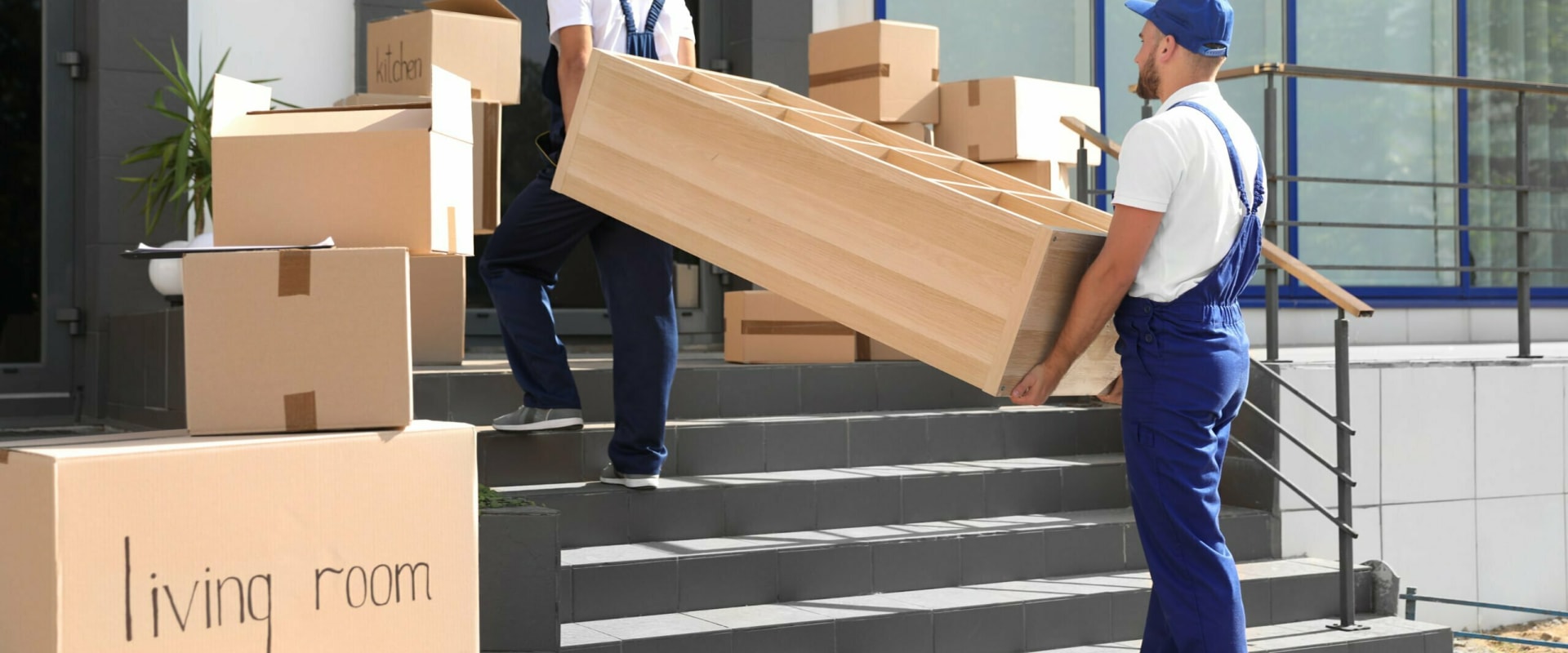 Expert Insights on Hastings Movers: Tips, Tricks, and What to Expect